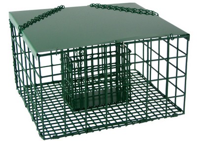 Squirrel Resistant Suet Palace