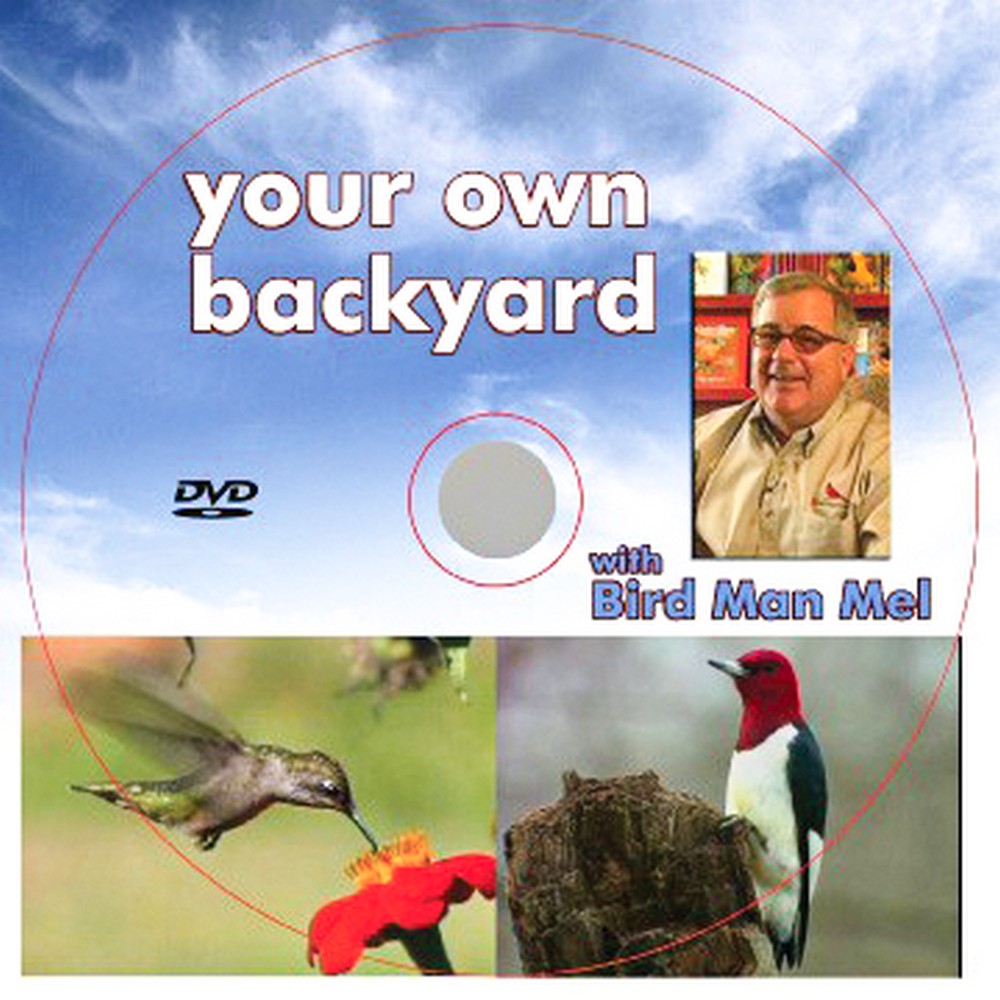 Mels Backyard Birding Tips DVD