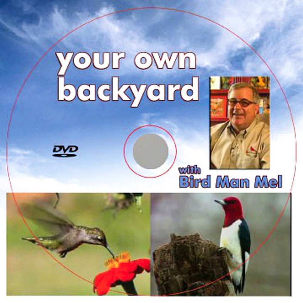 Mels Backyard Birding Tips DVD West