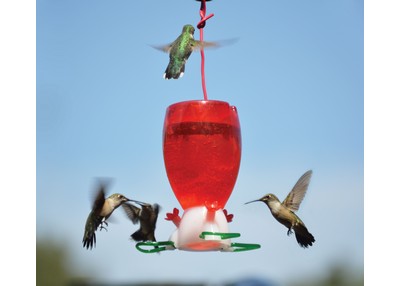 Big Red Hummingbird Feeder