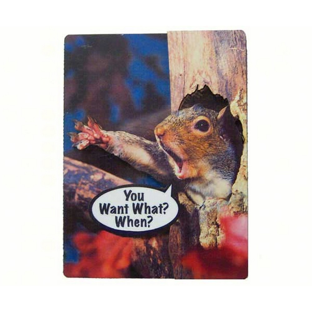 2-D Magnets You Want What? When?