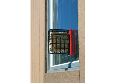 Red Suet Window Feeder