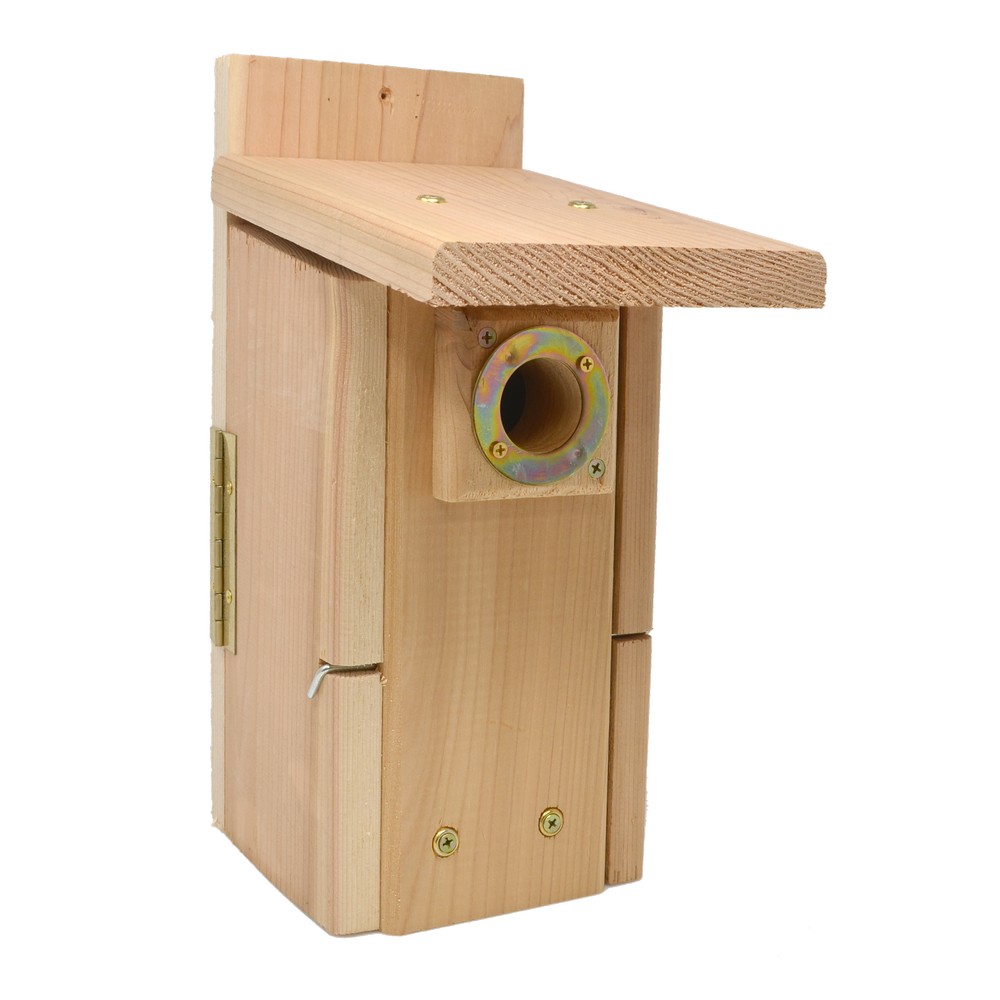 Ultimate BlueBird House