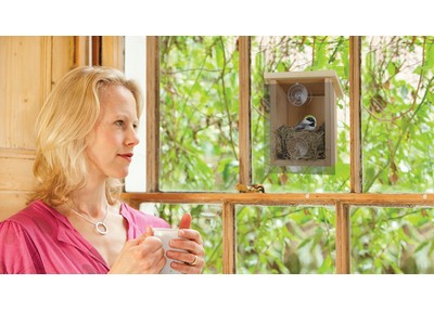 Nest View Bird House with Window Film