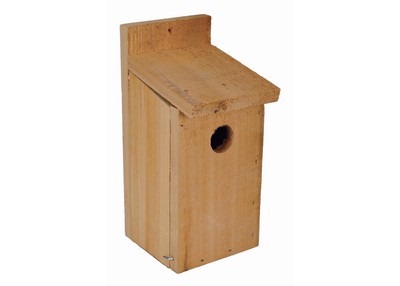 Cedar BlueBird House