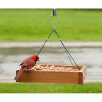 3 in 1 Platform Feeder