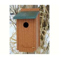 Going Green BlueBird House