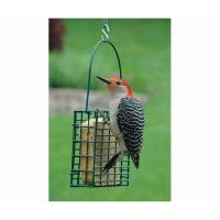 Single Suet Cage