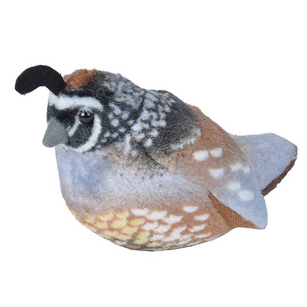 Plush California Quail